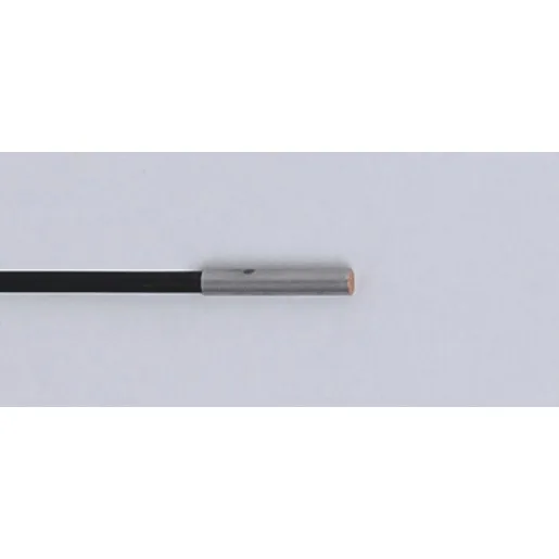 Ifm Electronic IZB31,2-BPKG/V2A