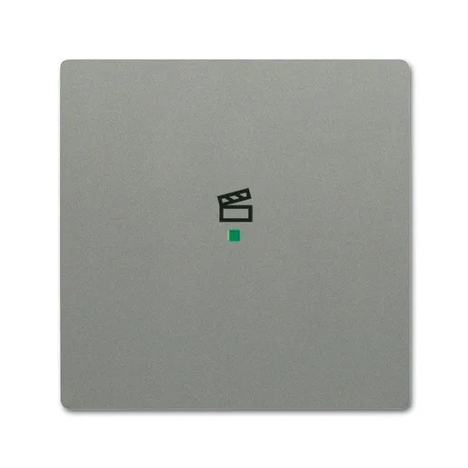 Busch-Jaeger 6233-10-803
