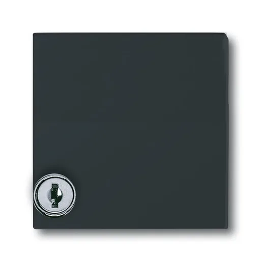 Busch-Jaeger 2118 GKSL-35