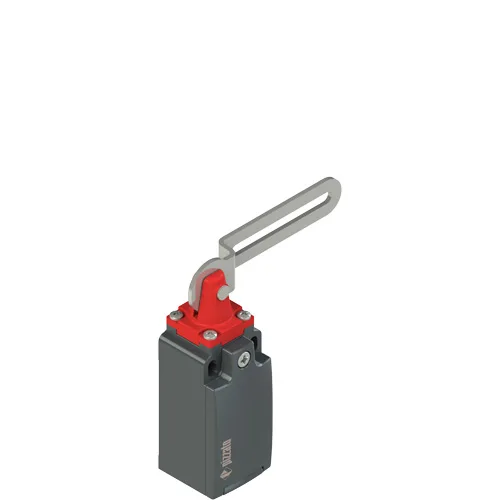 Pizzato FM 5C1-M2 Safety switch with slotted hole lever