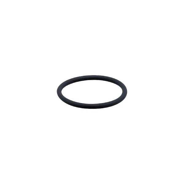 IFM FKM VITON O-RING O-Ring