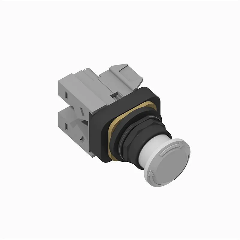 Allen Bradley 800H-FRXTQH2WAY 30mm Push-Pull Device 800H PB