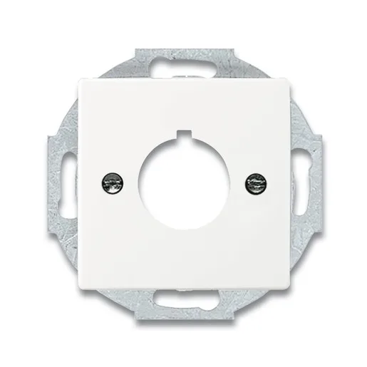 Busch-Jaeger 2533-884