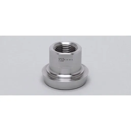 Ifm Electronic ADAPT G1/2-DIN11851 DN25