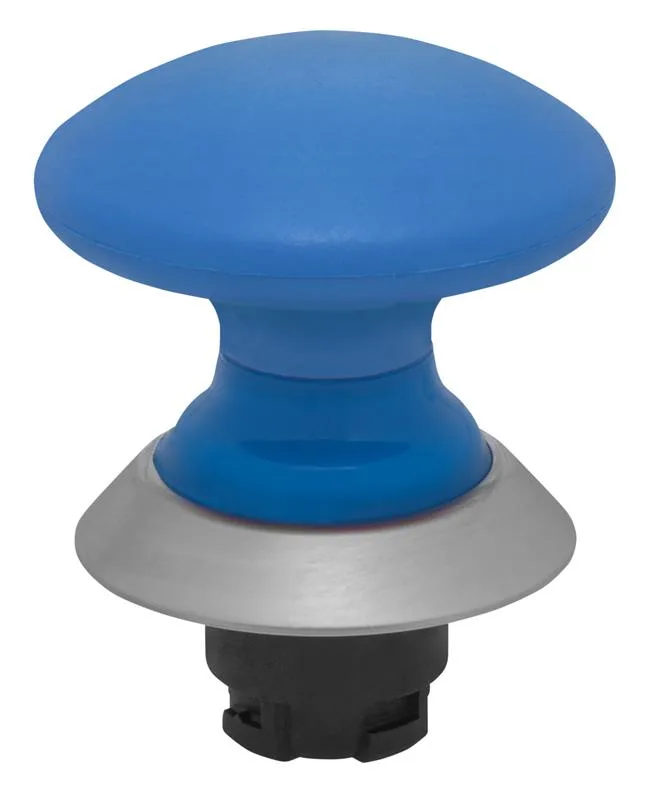 Schmersal NDP50BL/BL