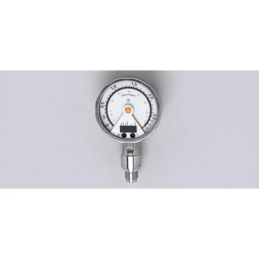 Ifm Electronic PG-2,5-REB12-MFRKG/US/      /P