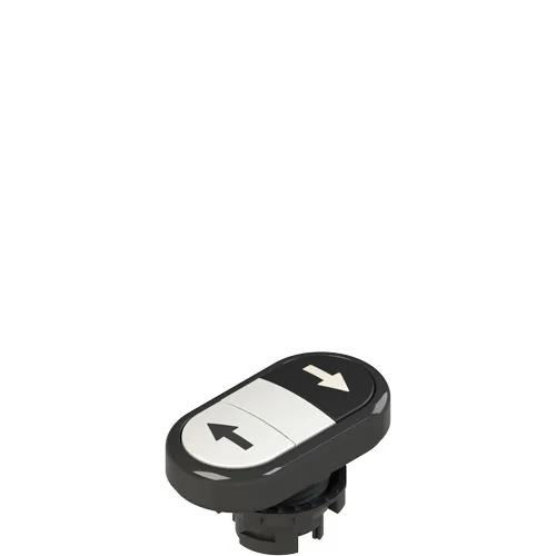 Pizzato E2 1PDRL1AABS Double lower flush pushbutton, with marking