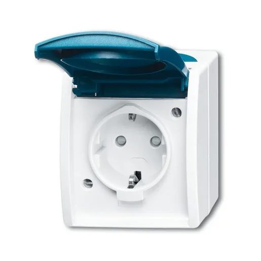 Busch-Jaeger 20 EBW-53