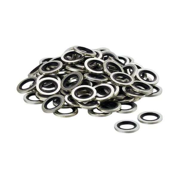 IFM HYDRAULIC-SEALING RG 100P G1/4 Conta