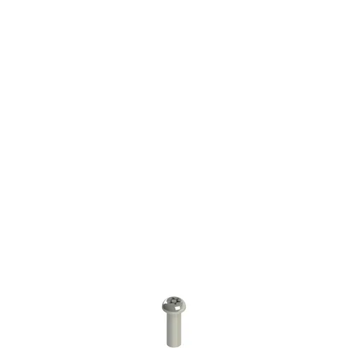 Pizzato VF VAM5X15BX-X Stainless steel security screws