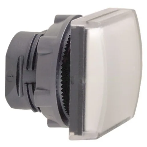 Schneider Electric ZB5CV013