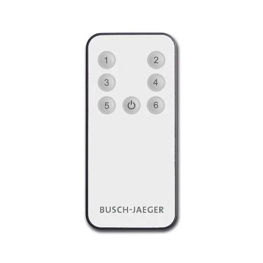 Busch-Jaeger 6179