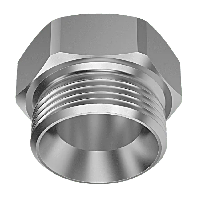 Lechler Accessories for nozzle series 676 | 09202016AF031 Accessories