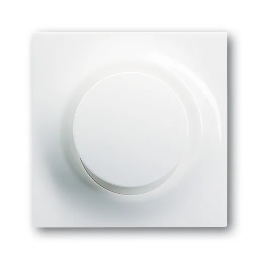 Busch-Jaeger 6543-74-101