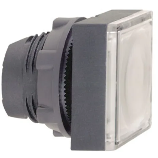 Schneider Electric ZB5CW313