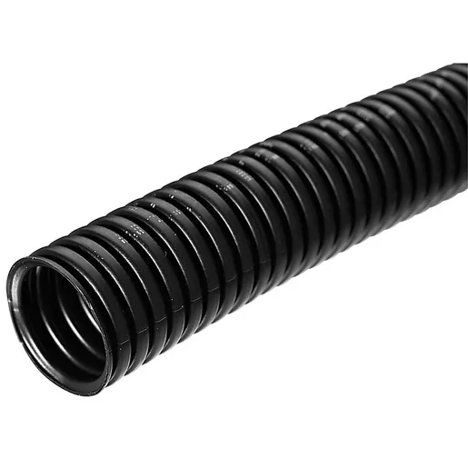 Schlemmer 1926220