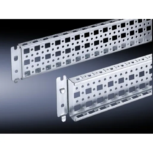 Rittal TS 8800.650