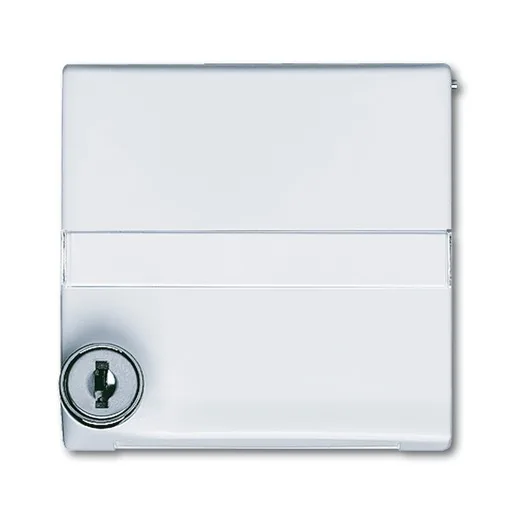 Busch-Jaeger 2118 GKSLN-32
