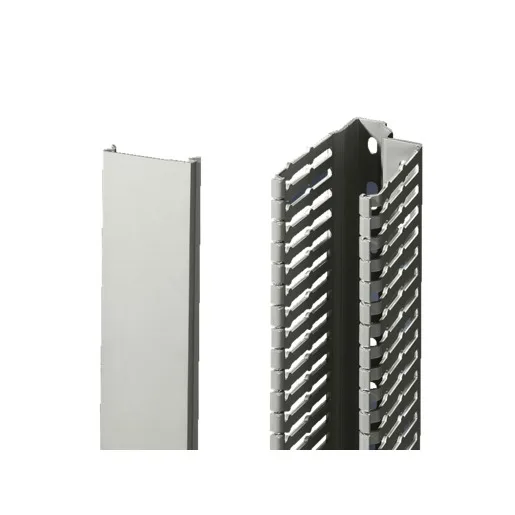 Rittal TS 8800.520