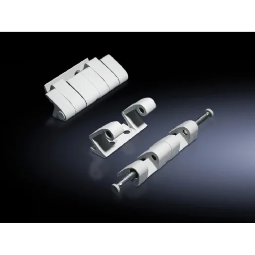 Rittal TS 8800.710