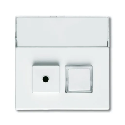 Busch-Jaeger 1572 CN-84