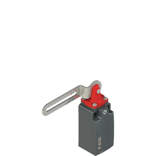 Pizzato FM 5C3-M2 Safety switch with slotted hole lever