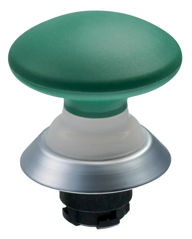 Schmersal NDP50GN