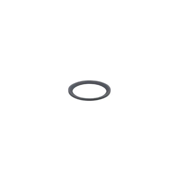 IFM SEAL RING FFKM G1/2 Conta