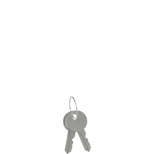 Pizzato VF KLA371 Unlocking key pair