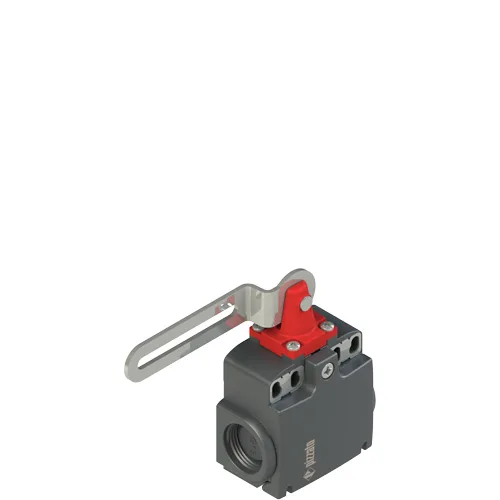 Pizzato FX 5C3-M2 Safety switch with slotted hole lever
