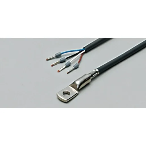 Ifm Electronic TS-200-KL     /US