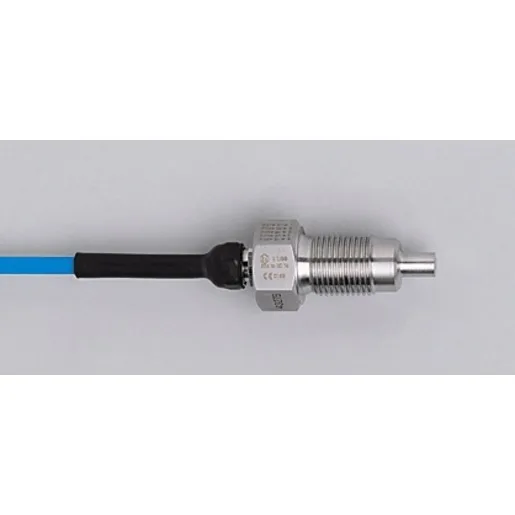 Ifm Electronic SFR12ADB/1/2G /6M