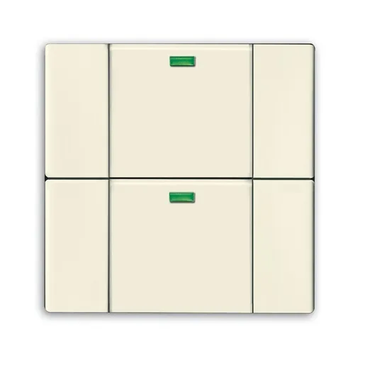 Busch-Jaeger 6732-82