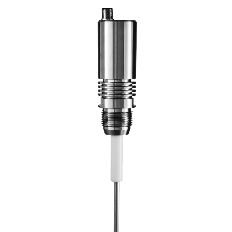 Rechner Sensors KFI-1-250-200-VAc/PTFE-D13-G1-IL4-ET-Y10 Capacitive Level Measurement Systems (KFI / KFS / KFA / KFX)