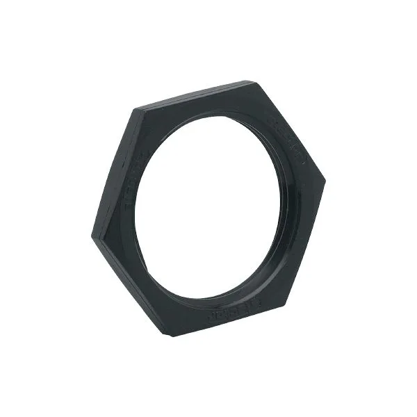 IFM NUT M30X1.5 PBT 2 PIECES Altı köşeli somun