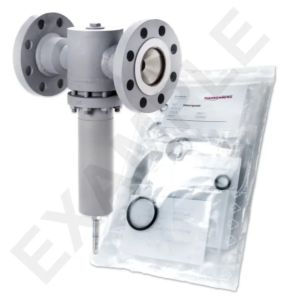 Mankenberg 6621404TA     WS Maintenance Kit WS/DM620-80-FA05-63-D083-10-V1-FF-E29-E80 |