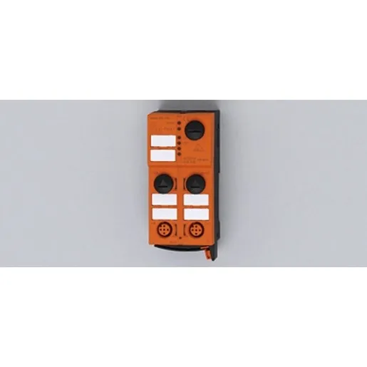 Ifm Electronic ClassicLine 2AI C IP67