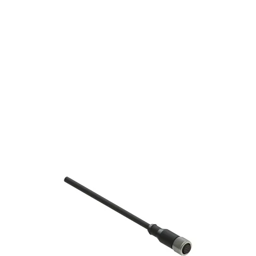 Pizzato VF CA4PD3M M12 female wired connector: straight, 4 poles, 3 m cable