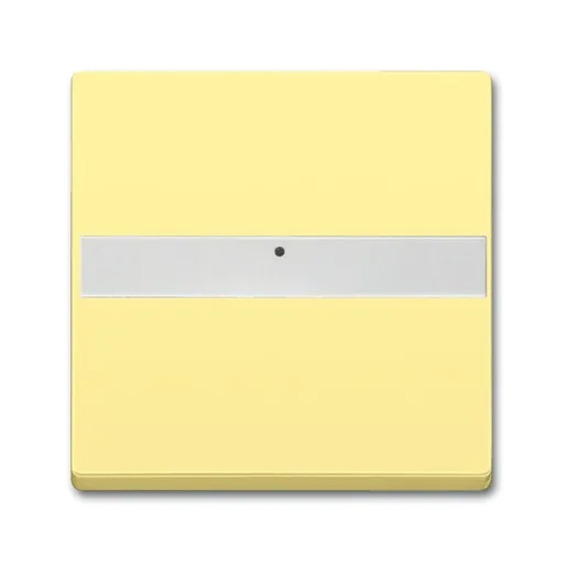 Busch-Jaeger 1764 NLI-815