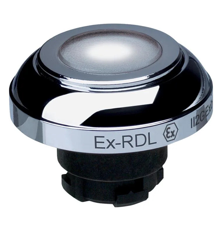 Schmersal EX-RDLWS
