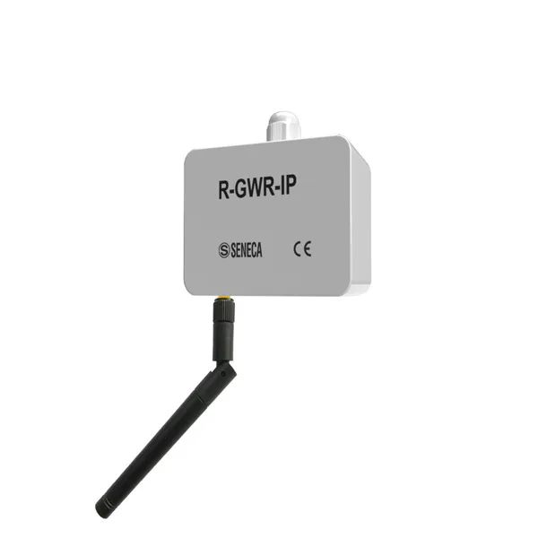 Seneca R-GWR-IP Industrial sensor with digital / analog input