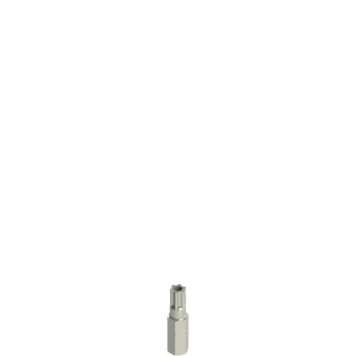 Pizzato VF VAIT1T30 Safety screws bits