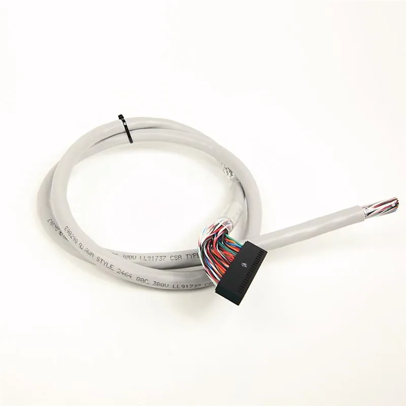 Allen Bradley 1492-CAB010P62 Digital Cable