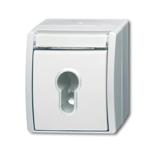 Busch-Jaeger 2733 SLW-54