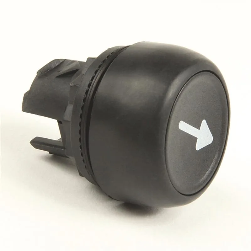 Allen Bradley 800FP-CA2U246 22mm Momentary Push Button 800F PB