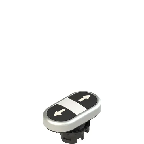 Pizzato E2 1PDRL9AAAB Double lower flush pushbutton, with marking