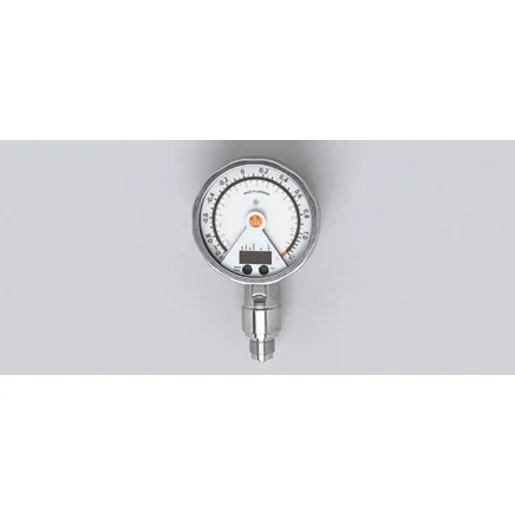 Ifm Electronic PG-1-1-REB12-MFRKG/US/      /P