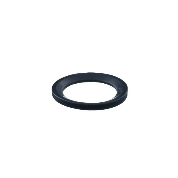 IFM SEAL RING FFKM G1/4 Conta