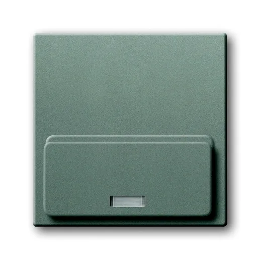 Busch-Jaeger 8254-803