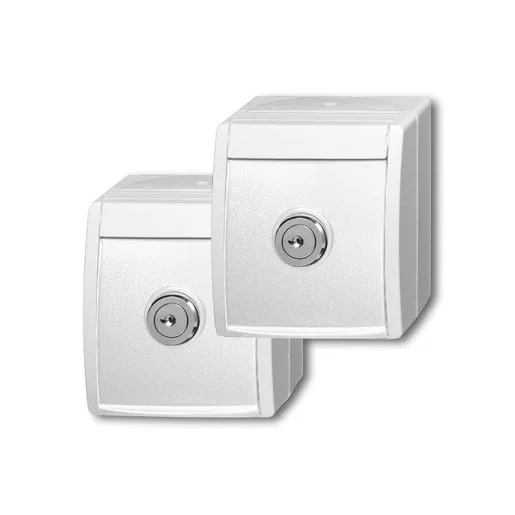 Busch-Jaeger 20/20 EWSL-54